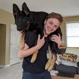 teej_dv profile picture